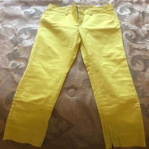 NWT Ann Loft 4P pants